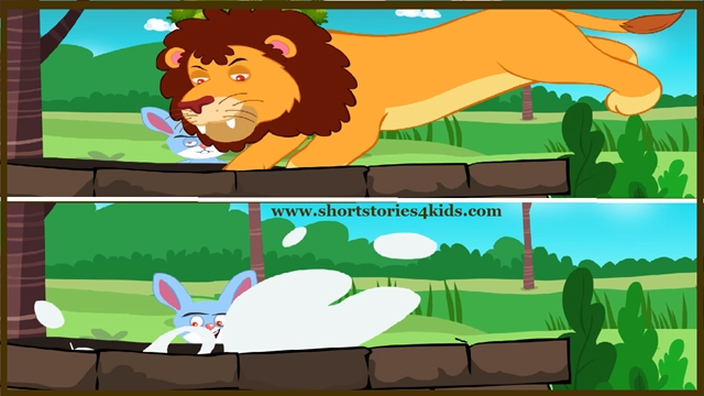 Lion and Rabbit Story