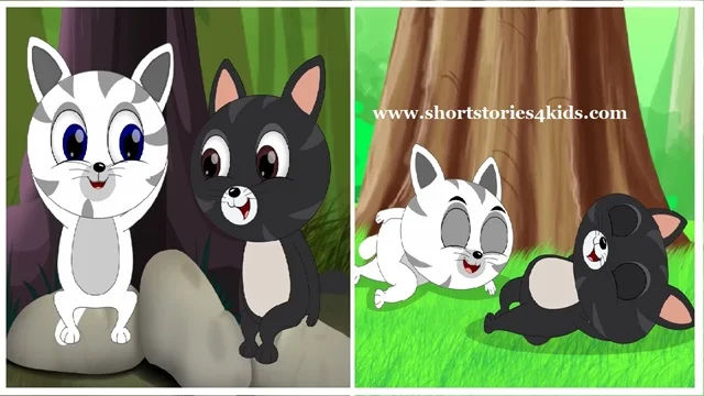 Two cat and Monkey Story